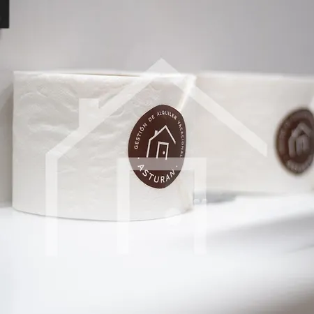 A Paicega - Centro Apartment Oviedo